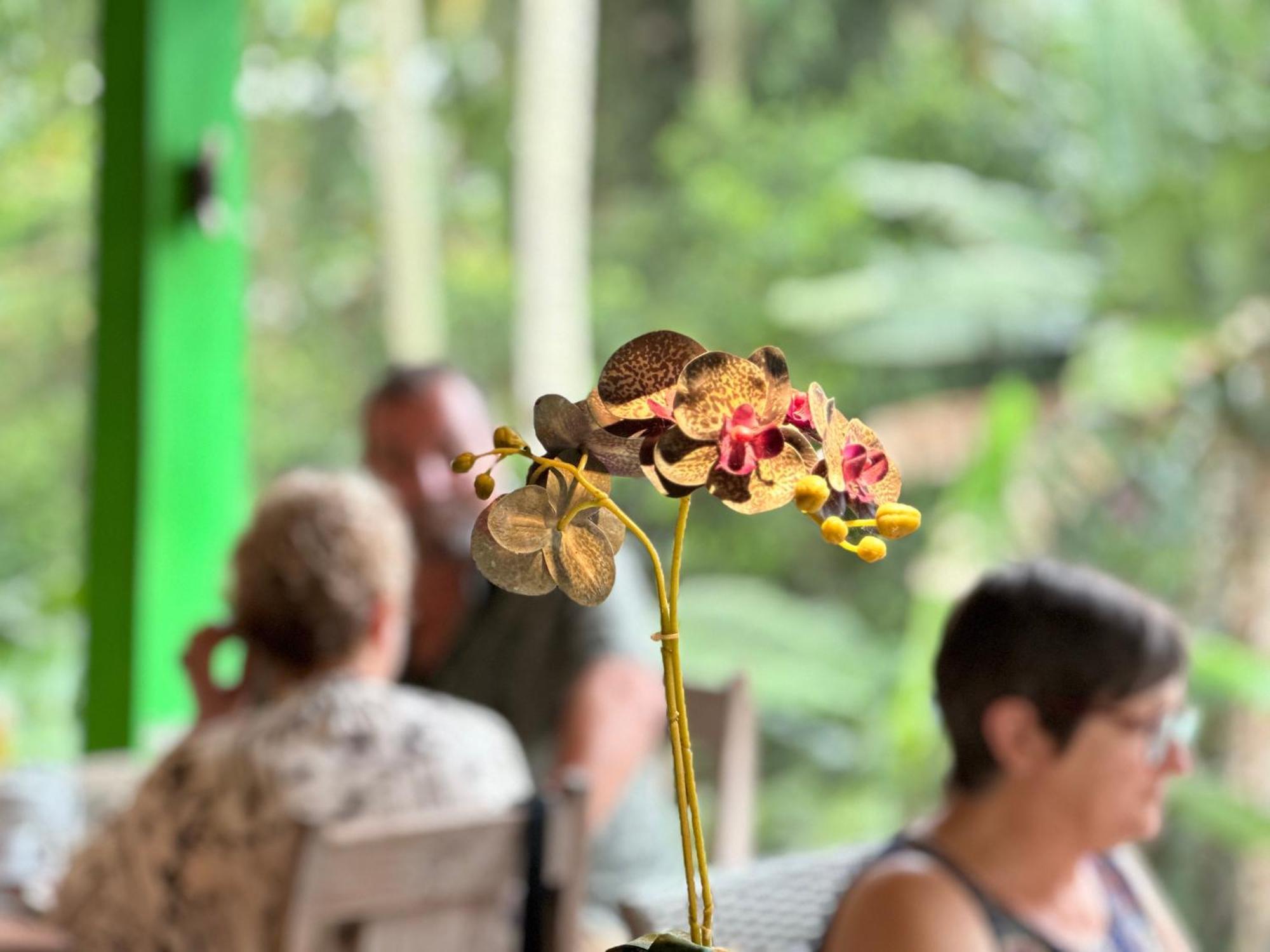 Dupa Ubud Ngoại thất bức ảnh