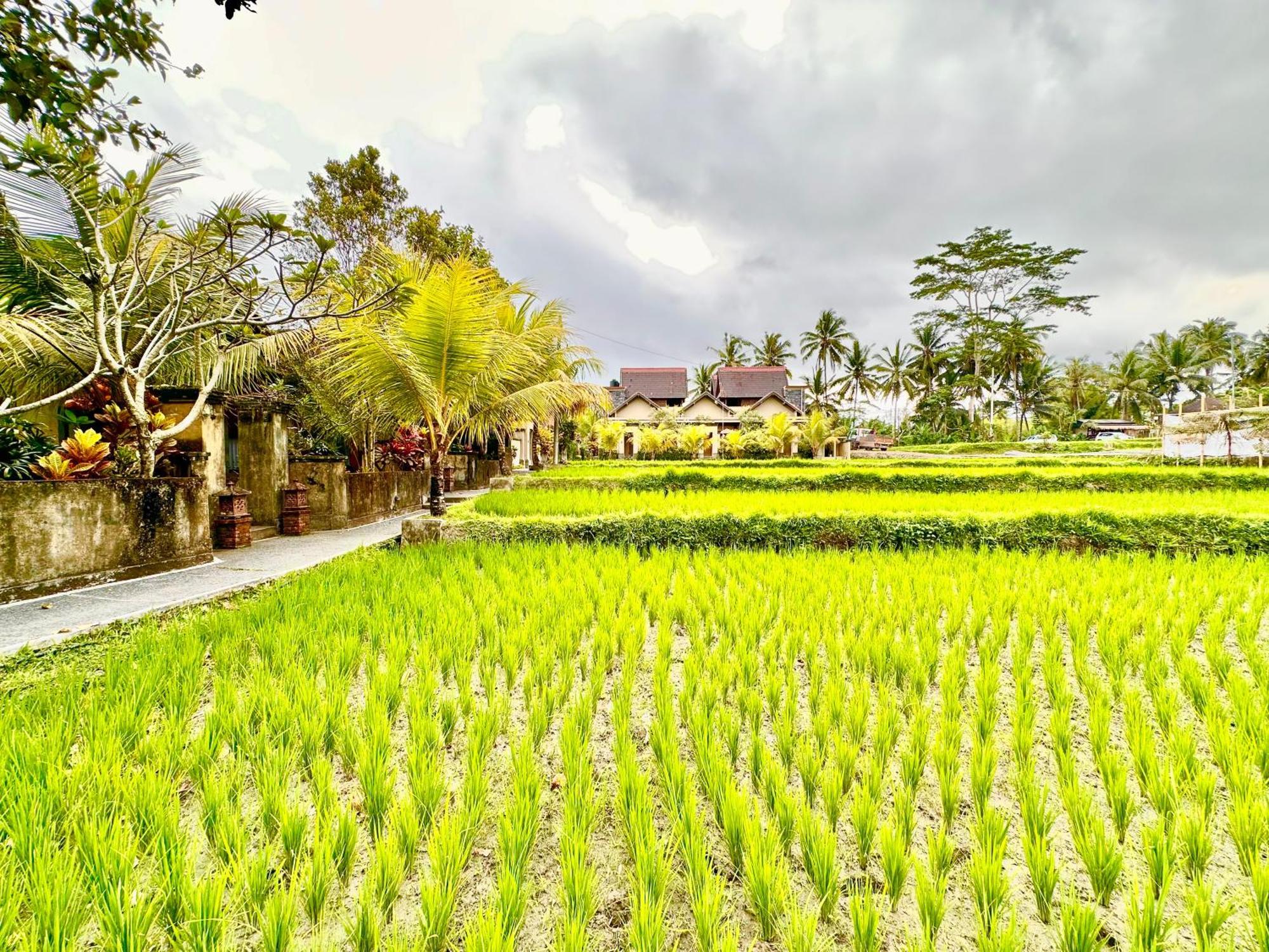 Dupa Ubud Ngoại thất bức ảnh