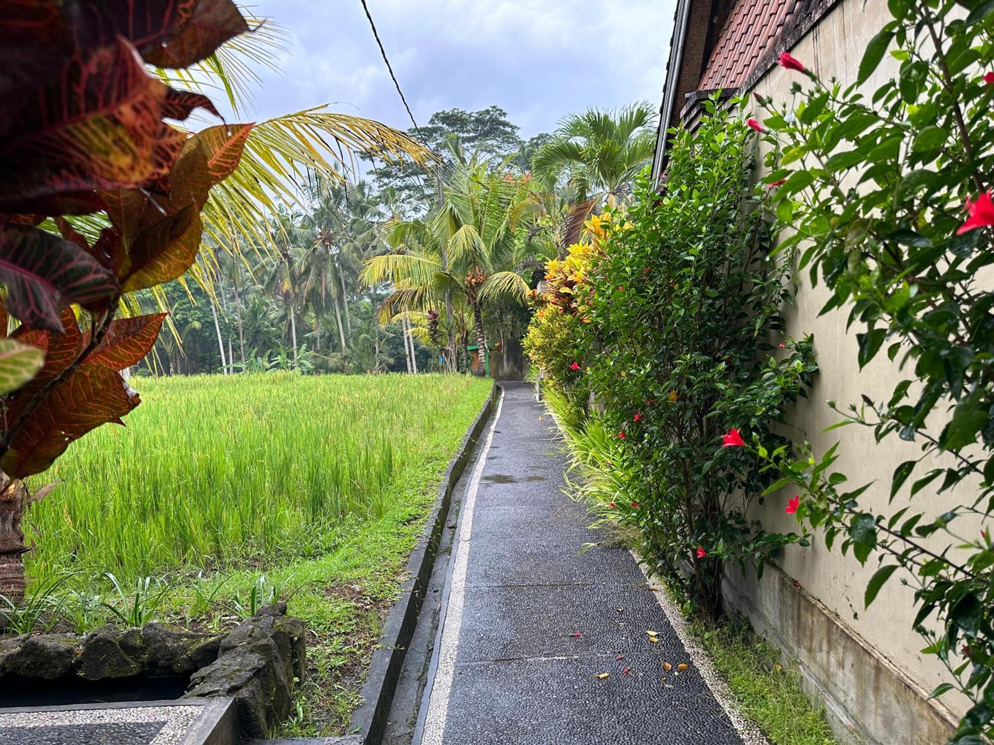 Dupa Ubud Ngoại thất bức ảnh